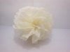 10 Ivory Tissue Paper Pom Poms Wedding Party Decoration 20cm Dia