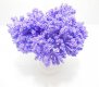 12BundleX12Pcs Craft Scrapbooking Chive Herb Flowers Purple