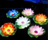 10 Chinese Cloth Lotus Flower Floating Lanterns Mixed Color