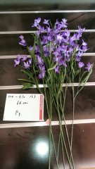 8Pcs Purple Flower 66cm Long we-flo163