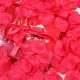 1000X Rose Petals Wedding Party Decoration - Fuschia