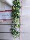 4X Greenery Leaves Garland Decoration Wall Hanging 78cm Long we-