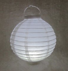 5Pcs Plain White Led Light Up Paper Lantern 20cm