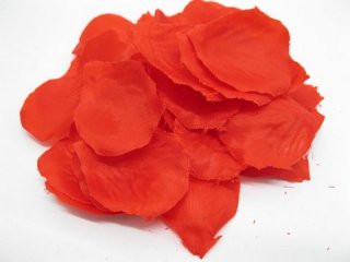 1000 Rose Petals Wedding Party Decoration - Red