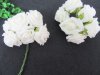 12Bundle X 6Pcs Off-white Foam Rose Flower Wedding Decor