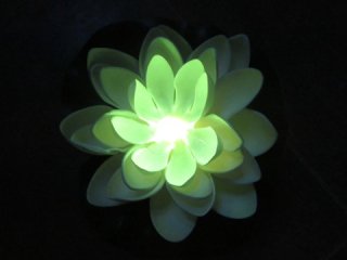 24 Light Up Ivory Floating Lotus Flower Wedding Decoration