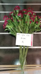 5Pcs Red Flower 60cm Long we-flo172