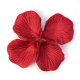 1000X Rose Petals Wedding Party Decoration - Wine Red