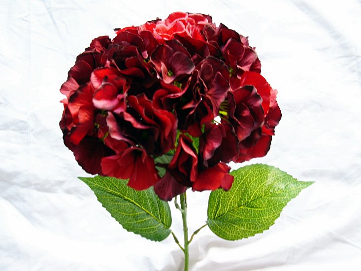 1X Dark Red Hydrangea Stem Wedding Flower Favor - Click Image to Close