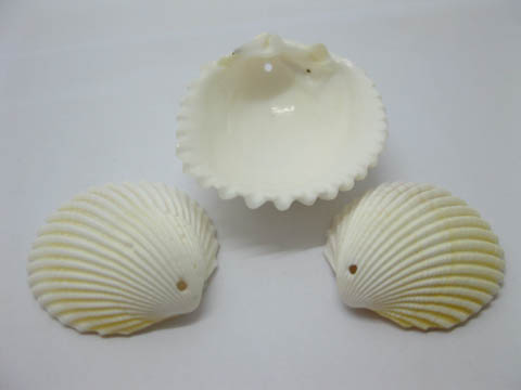 48Pcs Natural Scallop Shell Pendants Beads Wedding Decoration - Click Image to Close