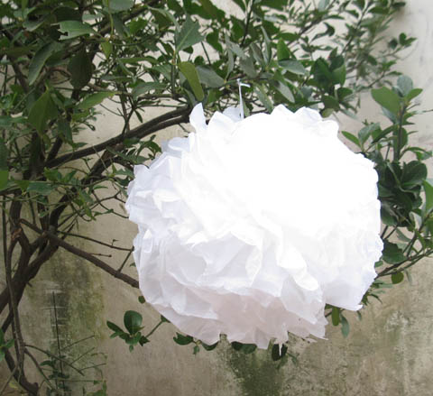 10 White Tissue Paper Pom Poms Wedding Party Decoration 30cm Dia - Click Image to Close