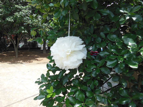 10 Ivory Tissue Paper Pom Poms Wedding Party Decoration 30cm Dia - Click Image to Close