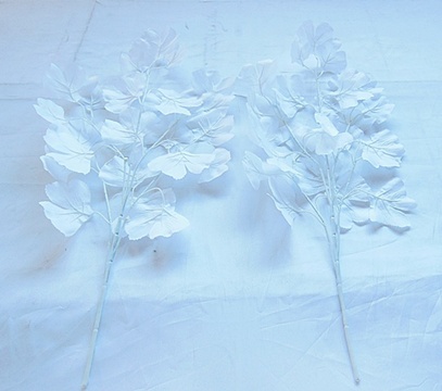 12X Artificial White Ginkgo Biloba Leaf Wedding Favor - Click Image to Close