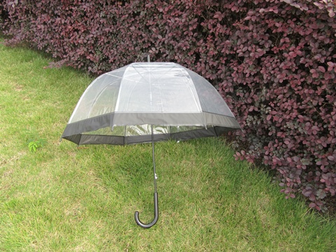 5Pcs Clear Wind Water Proof Umbrella DOME Parasol Black Border - Click Image to Close