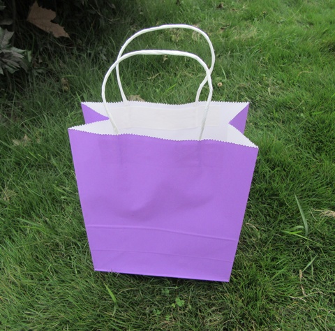 48 Bulk Kraft Paper Gift Carry Shopping Bag 33x26x12cm Purple - Click Image to Close
