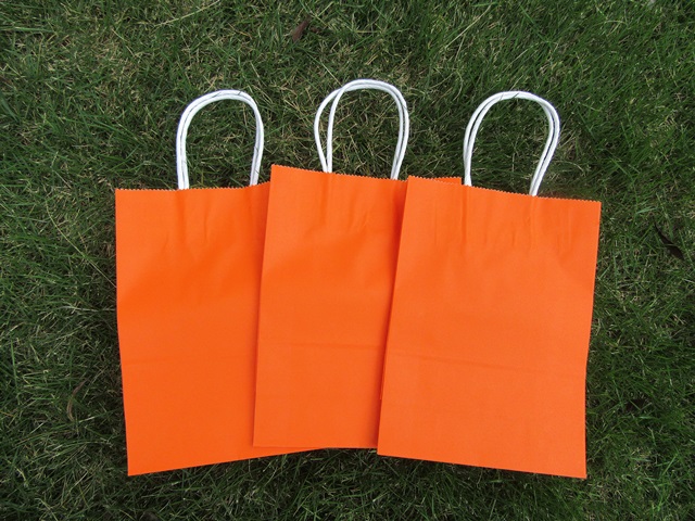 48 Bulk Kraft Paper Gift Carry Shopping Bag 22x16x8cm Orange - Click Image to Close