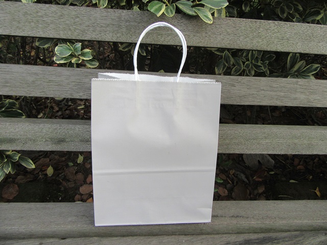 48 Bulk Kraft Paper Gift Carry Shopping Bag 22x16x8cm Silver Gra - Click Image to Close