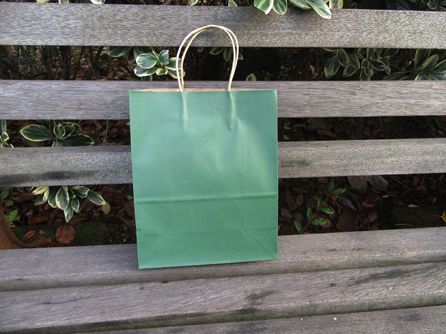 48 Bulk Kraft Paper Gift Carry Shopping Bag 22x16x8cm Green - Click Image to Close