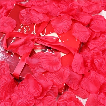 960X Rose Petals Wedding Party Decoration - Fuschia - Click Image to Close